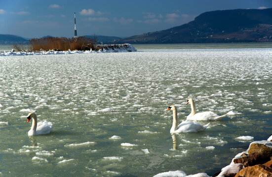 Lake Balaton at witer time, Hungary