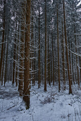 Winterlandschaft Bayern