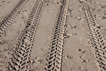 Tire tracks in the wet sand of an ocean beach