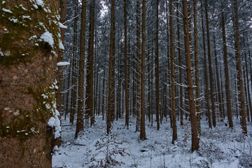 Winterlandschaft Bayern