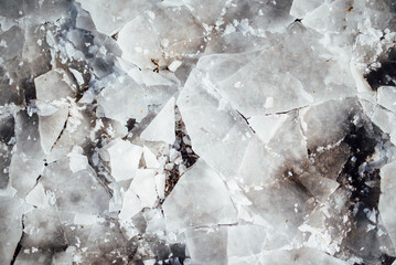 Frozen floodplain rhine cologne merkenich