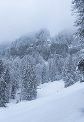 Romantik im Winter mit Schnee