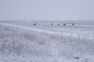 Winterlandschaft Bayern