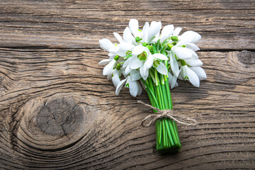 Obraz na płótnie Canvas snowdrops, 1st of March tradition white and red cord martisor isolated on wooden background
