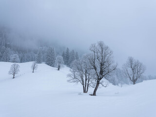 Fototapeta na wymiar Romantik im Winter mit Schnee