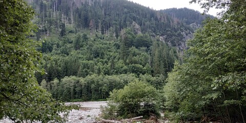 morskye oko