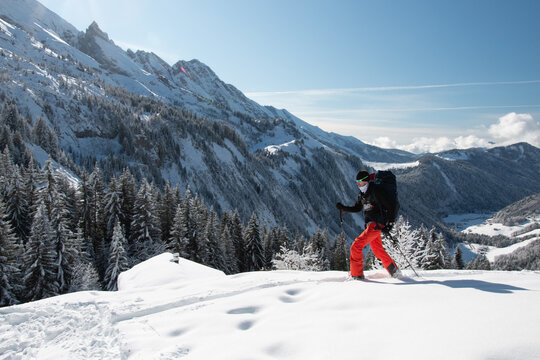 Splitboarding in the valley with trees, Aravis, French Alps