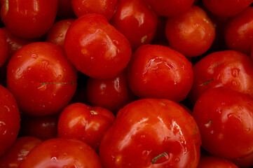 Washed red fresh tomatoes close-up