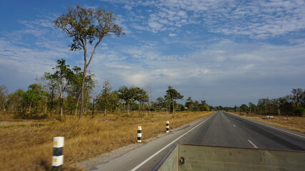 the view of some trees next to a street during a lift in a trailer from the border Dansavan to Thakhek, Laos, February