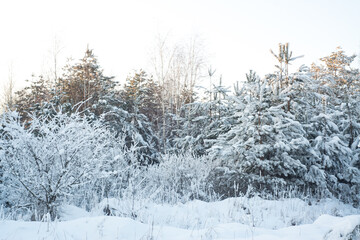 Winter