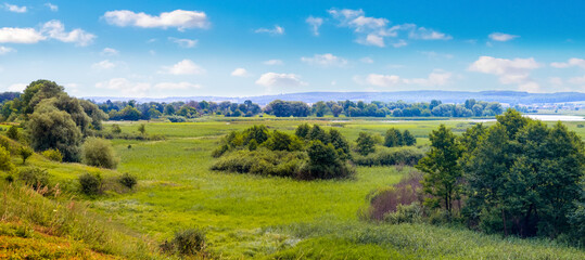 Obraz premium Green meadow with grass, trees and blue sky with white clouds