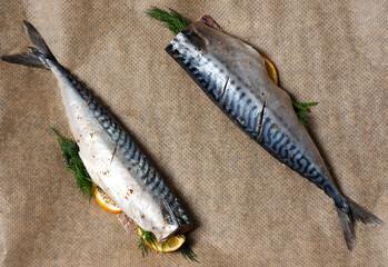 Two mackerels with lemon and dill, ready to bake in the oven