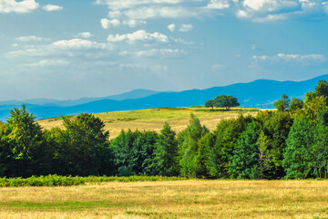 mountain glade with trees on top of the mountains and blue sky with clouds.