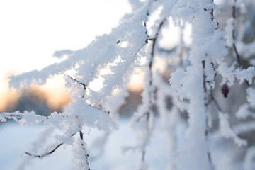 Winter. Snow. Sky.