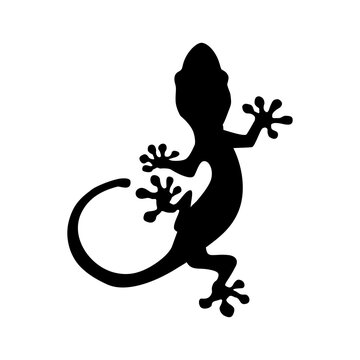 illustrazione di un geco clipart isolato per tatto. 