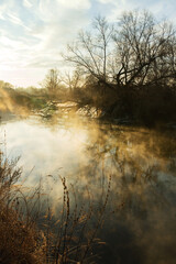 Dawn over the river
