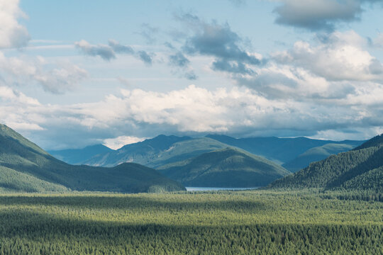 Hiking across green rolling hills with small lake in Washington