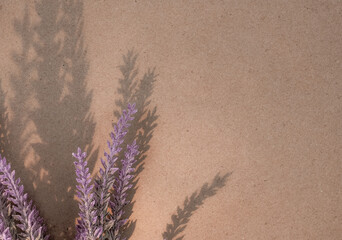 Lavender flowers on craft paper background with shadow and sunlight, copy space. Vintage style