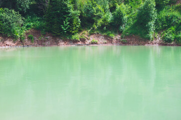 Fototapeta premium view of natural round green pond or lake surrounded by trees