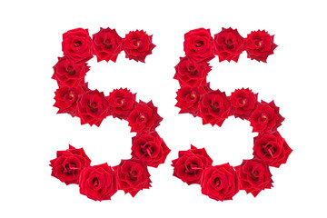 Numeral 55 made of red roses on a white isolated background. Element for decoration. fifty five. Red roses.