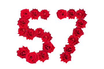 Numeral 57 made of red roses on a white isolated background. Element for decoration. fifty seven. Red roses.