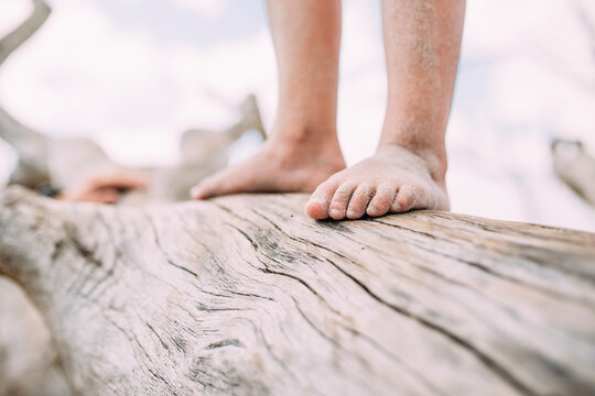 Low section of girl standing on log at beach