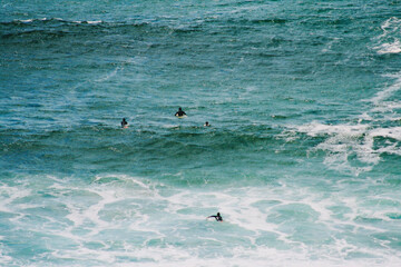 surfers wait for the wave in the blue ocean