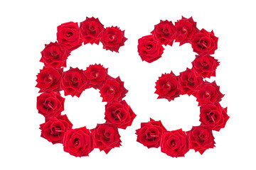 Numeral 63 made of red roses on a white isolated background. Element for decoration. sixty three. Red roses.