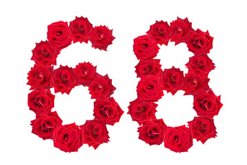 Numeral 68 made of red roses on a white isolated background. Element for decoration. sixty eight. Red roses.