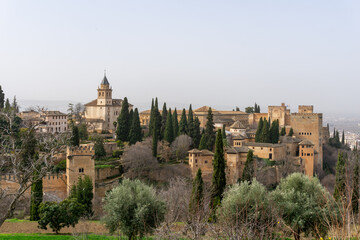 Fototapeta na wymiar view of the Alhambra Palaces above Granada in Andalusia