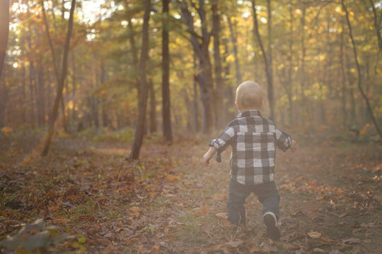 Rear view of baby boy walking in forest
