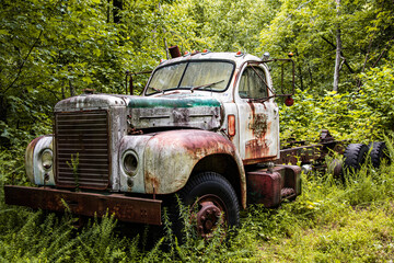 rusty truck in the weeds