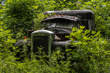 rusty truck in the woods