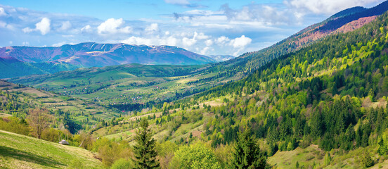 mountainous rural landscape in spring. green fields, pastures and trees on the hills rolling in to the distant ridge. sunny day with fluffy clouds on the sky