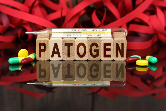 On the surface are visible pills, a thermometer, wooden dies and their reflections on which it is written - PATOGEN