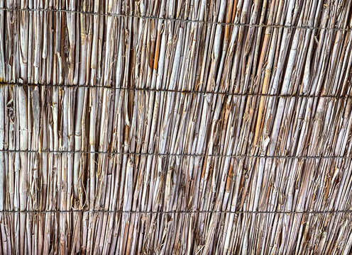 Reed Texture Close Up