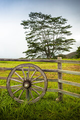 Wagon whele on gate to field at the Corner’s Ranch, Kauai, Hawaii, USA