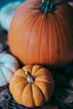 Close up image of large and small pumpkins on a tray.