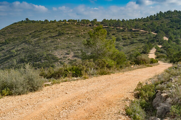 light brown stone mountain path leading up the mountain with low pine trees and dark green bushes to the top of the mountain with many curves.
