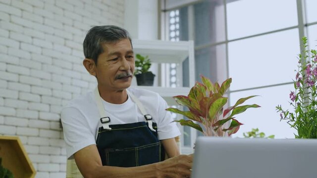 Agriculture concept of 4k Resolution. Asian old man offering to sell plants by computer.