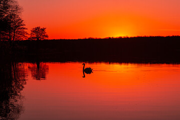 sunset on the lake