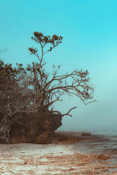 Seascape