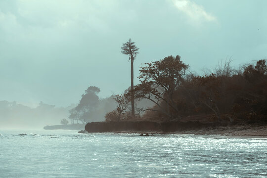 Seascape