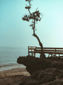 Seascape