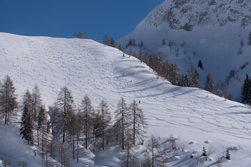 una splendida texture creata dagli sciatori scesi per la montagna in pieno inverno, le scie degli...
