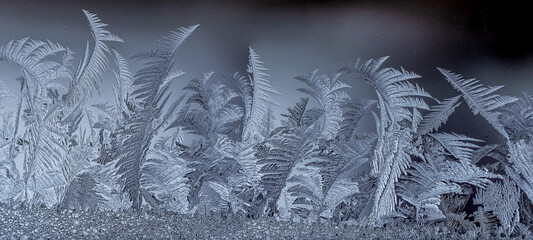Macro images of frost pattern on window