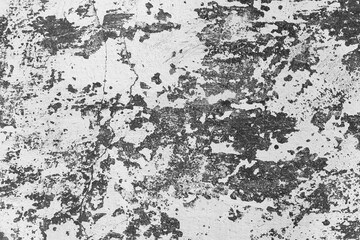 Obraz premium texture of old white plastered wall, background