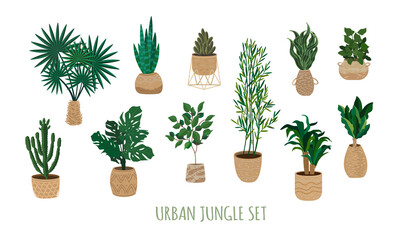 Urban jungle plants set. Houseplants in trendy wicker jute baskets. Indoor big floor plants in handmade wicker baskets. Contemporary and authentic house decor. Vector isolated elements set