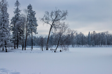 Russia. Winter 2021. Gatchina. February.