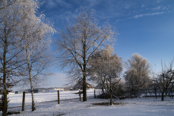 Ländliche Winterlandschaft mit schneebedeckten Bäumen bei strahlendem Sonnenschein